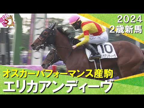 オスカーパフォーマンス産駒エリカアンディーヴが初陣飾る！松山騎手「着差以上に強かった」　2024年 12月8日(日)２歳新馬　京都芝1800m　実況：石田一洋【カンテレ公式】