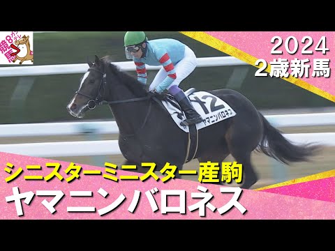 武豊騎手「強いわ」ヤマニンバロネスが８馬身差の圧勝！　2024年 12月8日(日)２歳新馬　京都ダート1400m　実況：石田一洋【カンテレ公式】