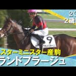 グランドプラージュが断然人気に応えてデビュー勝ち!川田騎手「ポテンシャルの高さを感じていた」 2024年 12月7日(土)2歳新馬 京都ダート1800m 実況:川島壮雄【カンテレ公式】