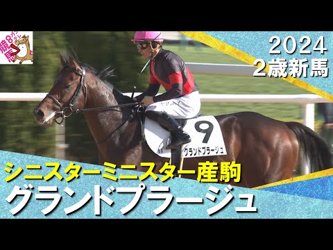 グランドプラージュが断然人気に応えてデビュー勝ち！川田騎手「ポテンシャルの高さを感じていた」　2024年 12月7日(土)２歳新馬　京都ダート1800m　実況：川島壮雄【カンテレ公式】