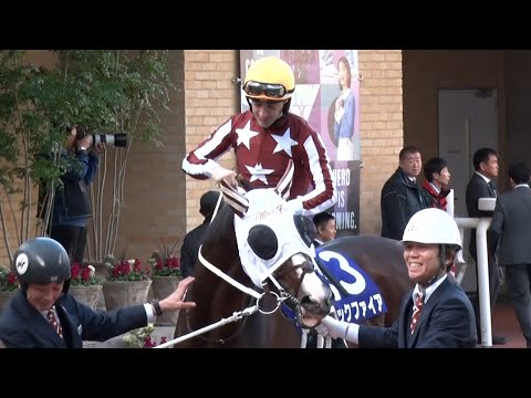 アタック！地方競馬｜第298回｜ミックファイア出走　チャンピオンズカップ｜NAR公式