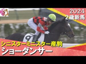 9番人気ショーダンサーが豪快に差し切りデビュー勝ち！国分優作騎手「最後は流す余裕がありました」　2024年 12月15日(日)２歳新馬　京都ダート1800m　実況：石田一洋【カンテレ公式】