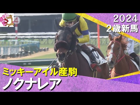 ３連単170万円超え！伏兵ノクナレアが２馬身差の完勝！松山騎手「強い競馬。実戦でいい」　2024年 12月15日(日)２歳新馬　京都芝1600m　実況：川島壮雄【カンテレ公式】