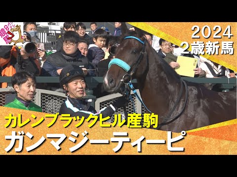 １番人気ガンマジーティーピ快勝！武豊騎手「芝でもダートでも良さそう」　2024年 12月7日(土)２歳新馬　京都芝1200m　実況：石田一洋【カンテレ公式】