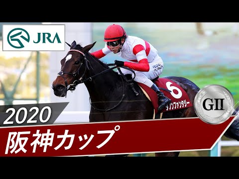 2020年 阪神カップ（GⅡ） | ダノンファンタジー | JRA公式