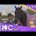 2024年 阪神カップ(GⅡ) ナムラクレア 実況:川島壮雄【カンテレ公式】