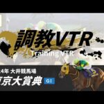 調教VTR|2024年 東京大賞典 GI|NAR公式