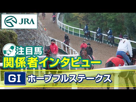 【注目馬 関係者インタビュー】2024年 ホープフルステークス｜JRA公式