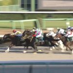 【カペラステークス2024】結果・動画/ガビーズシスターが差し切りV