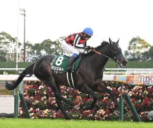 【中日新聞杯】幻のダービー馬、デシエルト