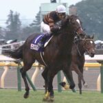 【競馬】Gallop 2016神騎乗ランキングで1位2位 武豊が独占!!!!!!!!!!!