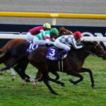 ドウデュース有馬記念ファン投票ぶっちぎり1位!47万8415票で歴代最多得票