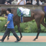 【競馬予想】[1]第76回朝日杯フューチュリティステークス(GⅠ) /2024