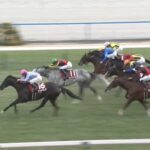 【阪神カップ2024】結果・動画/ナムラクレアが大外からねじ伏せる