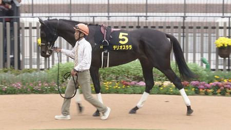 【競馬予想】[2] 第76回阪神ジュベナイルフィリーズ(GⅠ) /2024