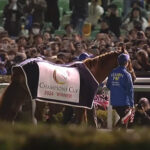 レモンポップ、ダーレージャパンで種牡馬入り