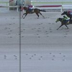 【競馬】東京大賞典は坂井騎乗のフォーエバーヤングがV