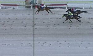 【競馬】東京大賞典は坂井騎乗のフォーエバーヤングがV