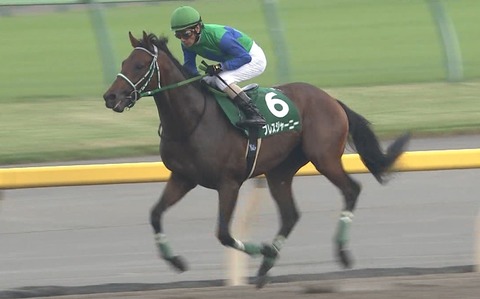 【競馬】【悲報】ブレスジャーニー、弥生賞1週前も併せ馬できず