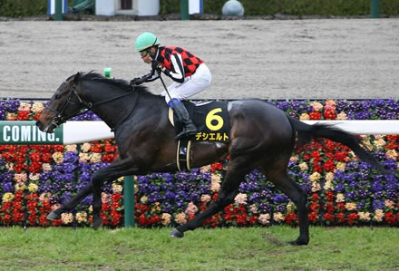 【中日新聞杯】デシエルトが逃げ切りで連勝！重賞初制覇