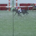 【競馬】有馬記念は戸崎騎乗のレガレイラがV