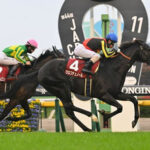 【競馬予想】[3]第41回ホープフルステークス(GⅠ) /2024