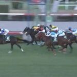 【競馬】ターコイズSは西村淳騎乗のアルジーヌがV