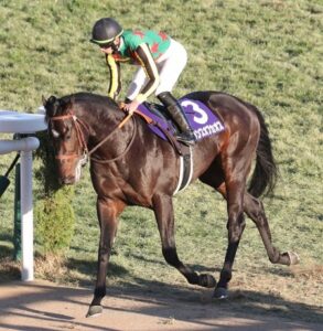 【朝日杯FS】ルーキー吉村誠之助 初のG1で3着