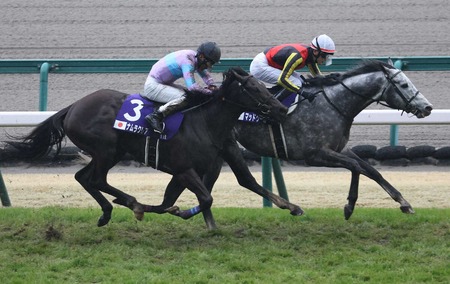 【阪神カップ】G1馬5頭含む超豪華メンバーが集結