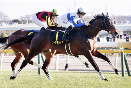 【競馬予想】第60回中日新聞杯(GⅢ) /2024