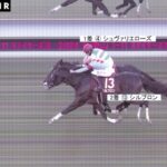マーカンドさん2cm差で重賞初勝利ならず