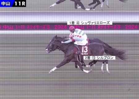 マーカンドさん2cm差で重賞初勝利ならず