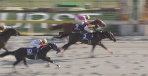 【競馬/フェブラリーS】カフジテイク3着津村君にひと言どうぞ。