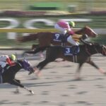 【競馬/フェブラリーS】カフジテイク津村「位置取りが後ろ過ぎた自分のミス。馬は頑張ってくれた」