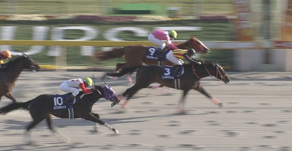 【競馬/フェブラリーS】カフジテイク津村「位置取りが後ろ過ぎた自分のミス。馬は頑張ってくれた」