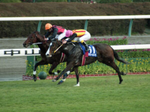 スプリンター系の種牡馬が走らんのなんで?