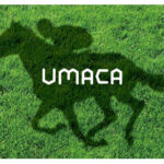 UMACA使ってる奴って