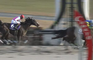 【チャンピオンズC】ドゥラエレーデ買えたヤツｗｗｗ‍ｗｗｗ