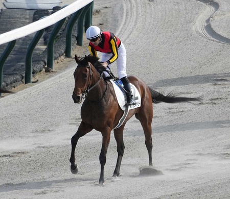 【有馬記念】レガレイラ鞍上は戸崎圭太