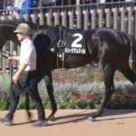 【競馬予想】[3]第76回朝日杯フューチュリティステークス(GⅠ) /2024