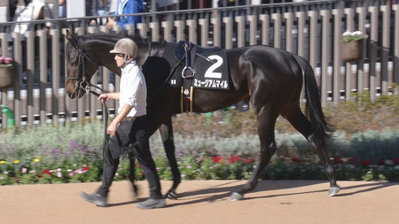 【競馬予想】[3]第76回朝日杯フューチュリティステークス(GⅠ) /2024