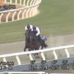 【有馬記念2024】追い切り/動きからレースを紐解く