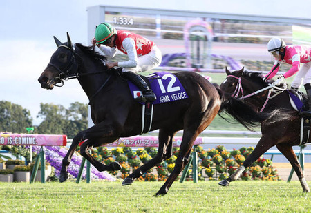 【阪神JF】人気馬総崩れ5番人気アルマヴェローチェがV！人馬共にG1初制覇