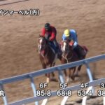 【阪神カップ2024】追い切り/調教を見てわかる事