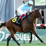 【競馬予想】[1] 第76回阪神ジュベナイルフィリーズ(GⅠ) /2024