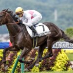 【ホープフルS】ピコチャンブラック石橋脩から川田に乗り替わり