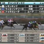 キタサンブラック産駒 今年G14度目の2着