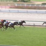 【中日新聞杯2024】結果・動画/デシエルトが逃げ切り快勝