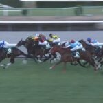 【ターコイズステークス2024】結果・動画/アルジーヌが連勝で重賞初V