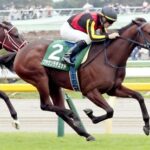 【競馬予想】[3] 第76回阪神ジュベナイルフィリーズ(GⅠ) /2024